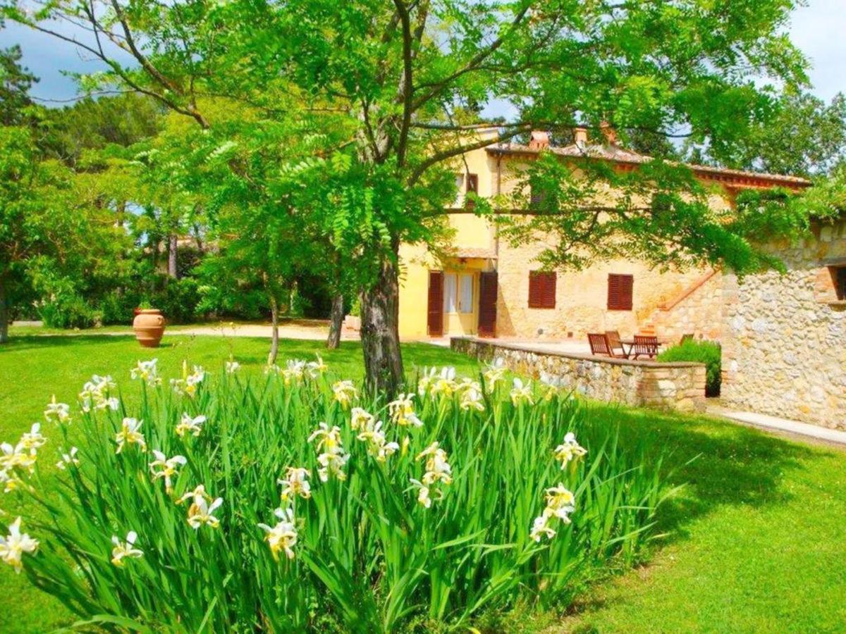 Agriturismo Fattoria Il Piano - Appartamento Antica Cucina - San Gimignano Dış mekan fotoğraf